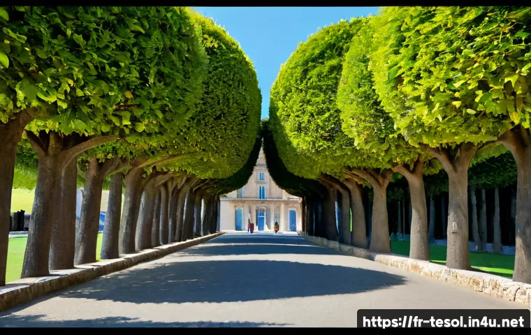 Certification TESOL : faut-il déjà bien parler anglais et comment choisir une formation utile ? 4 TESOL 자격증과 영어 실력의 관계 관련 이미지 2